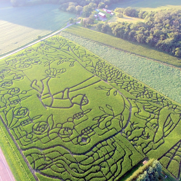 The Most A-maze-ing Farm