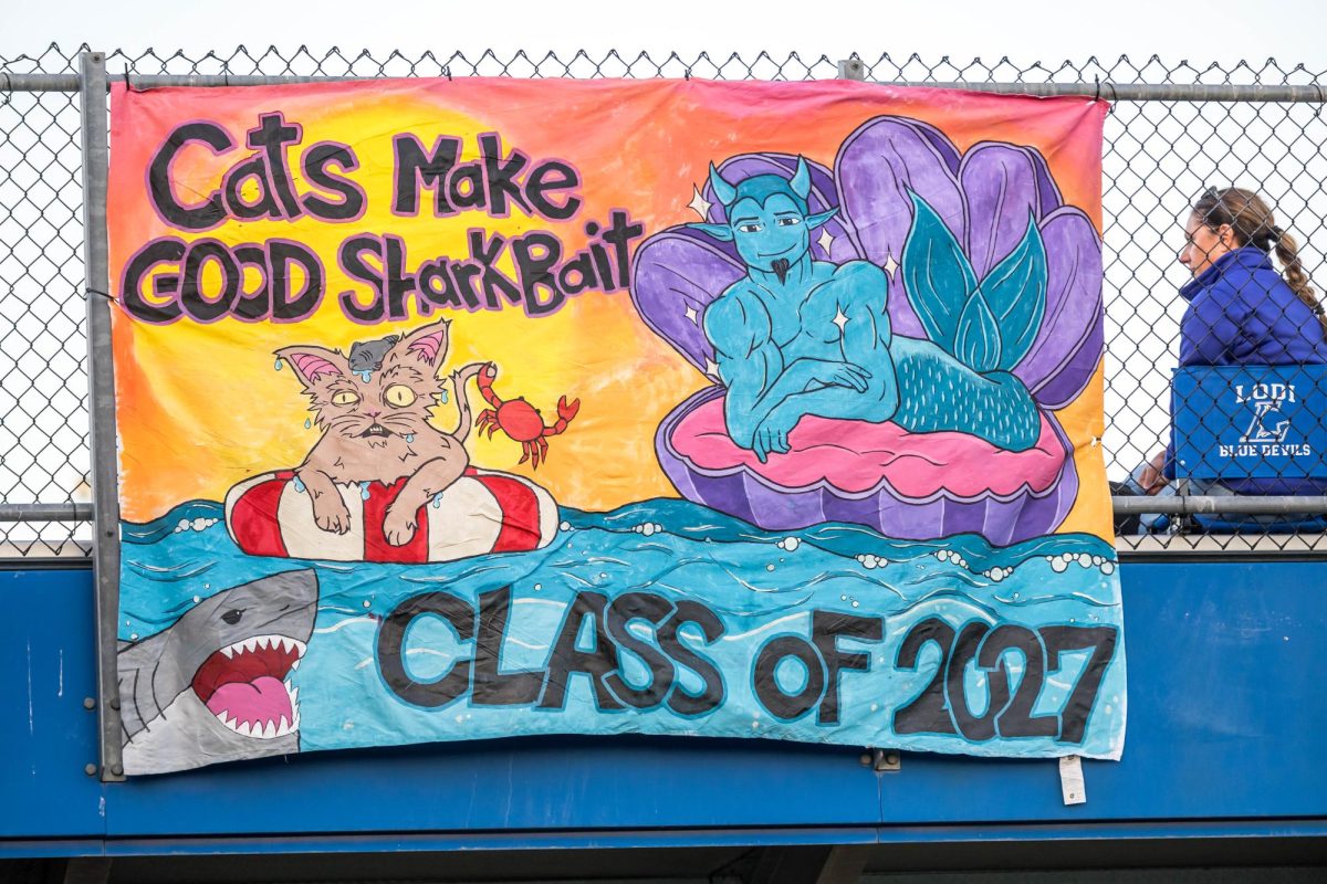 Class Of 2027 Homecoming Banner 